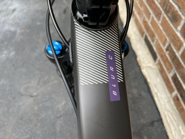 Santa Cruz Blur - 2019 Large - Carbon C, S-Build Mountain Bike