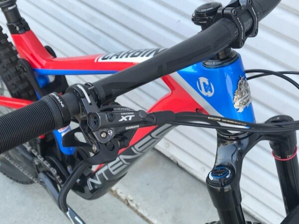Intense Cycles 2019 Carbine 29 Pro carbon fiber mountain bike, medium