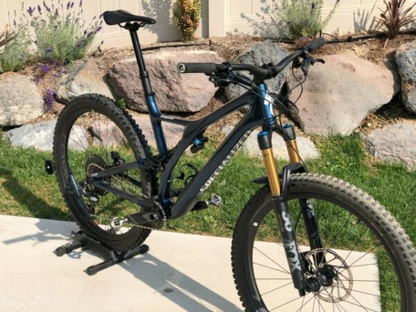 2020 Specialized Stumpjumper Pro 29 XL