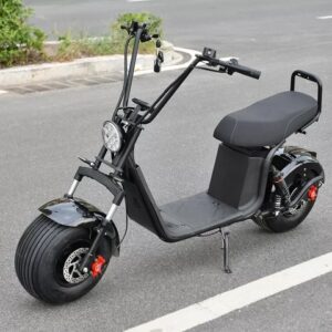 2025 eHoodax Citycoco