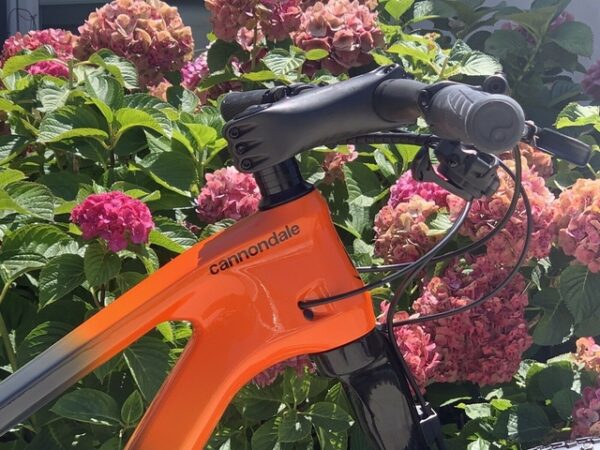 2021 Cannondale Scalpel 2 - Image 4
